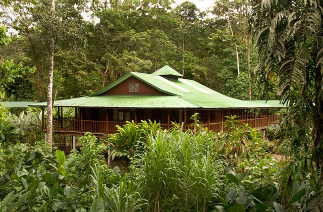 Selva Verde Albergue