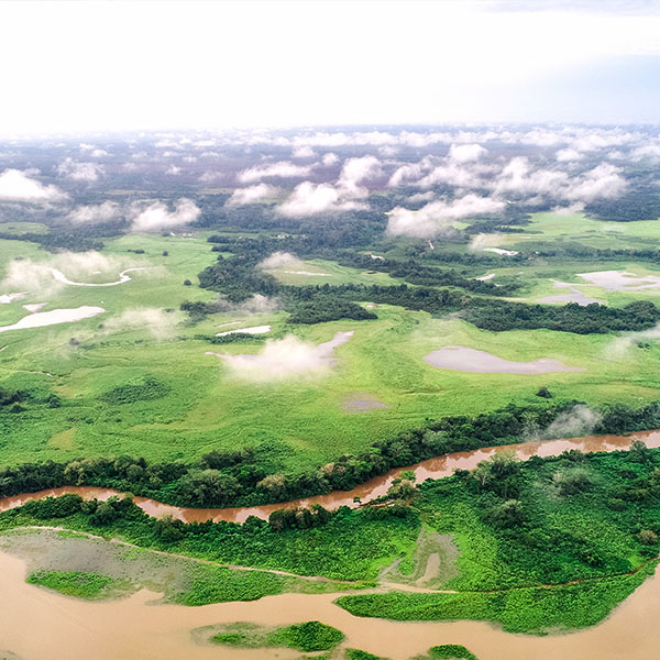 Caño Negro