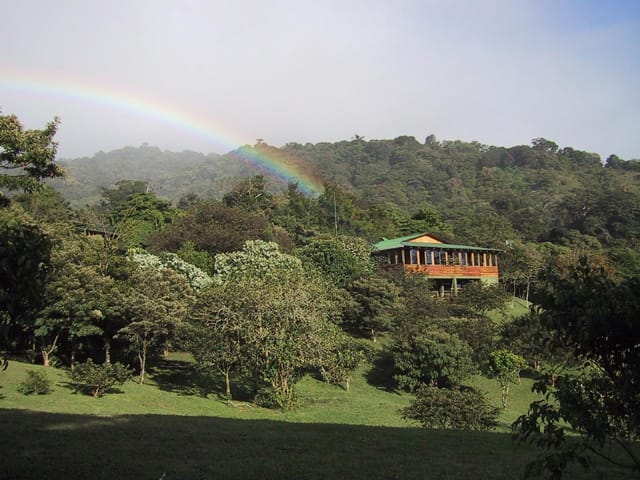 Bosque Nuboso Albergue