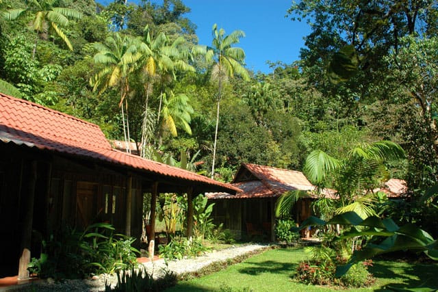 Esquinas Rainforest Lodge