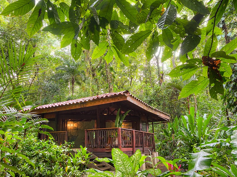 Playa Nicuesa Raiforest Lodge