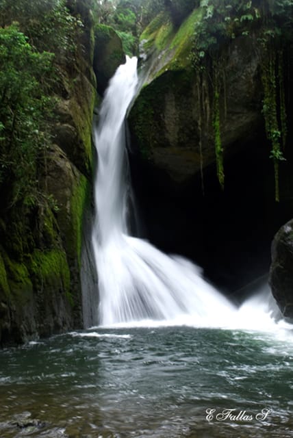 Sueños del Bosque Posada de Turismo Rural