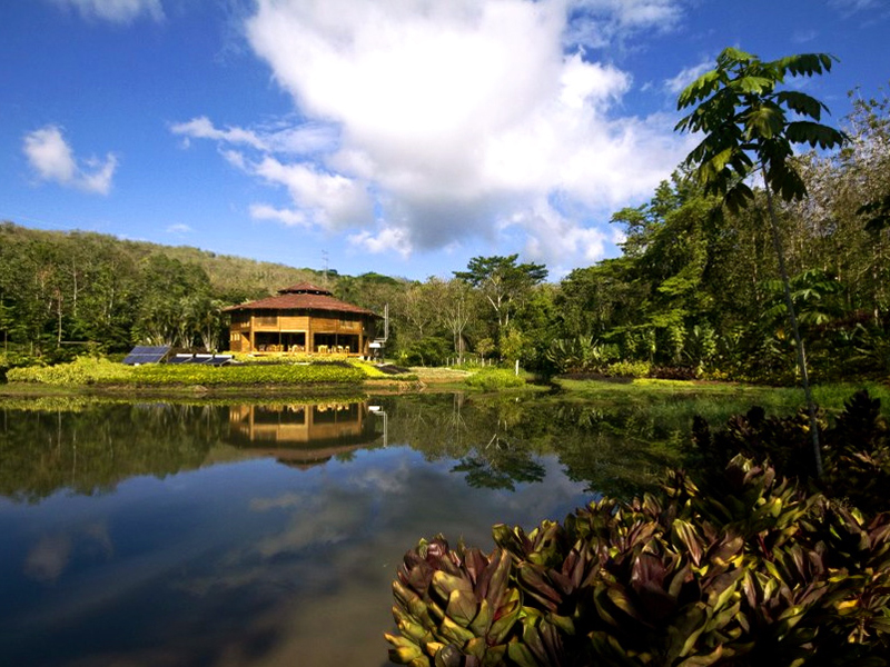 Macaw Lodge Albergue