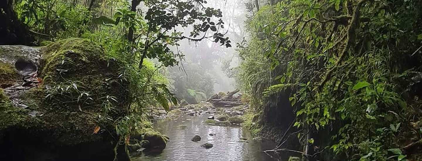 cerro danta