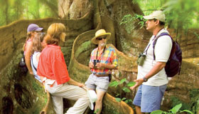 Caminatas en Costa Rica