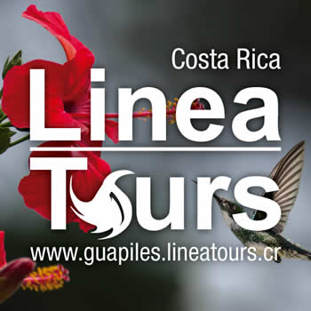 Guapiles Linea Tours