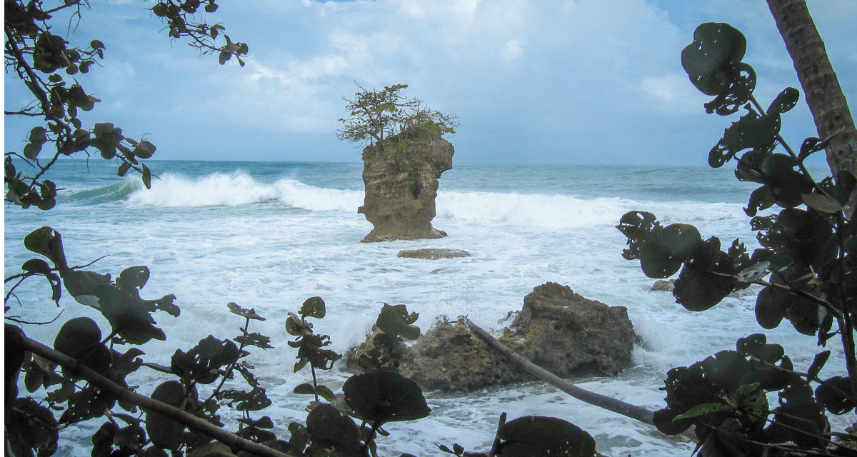 playa manzanillo