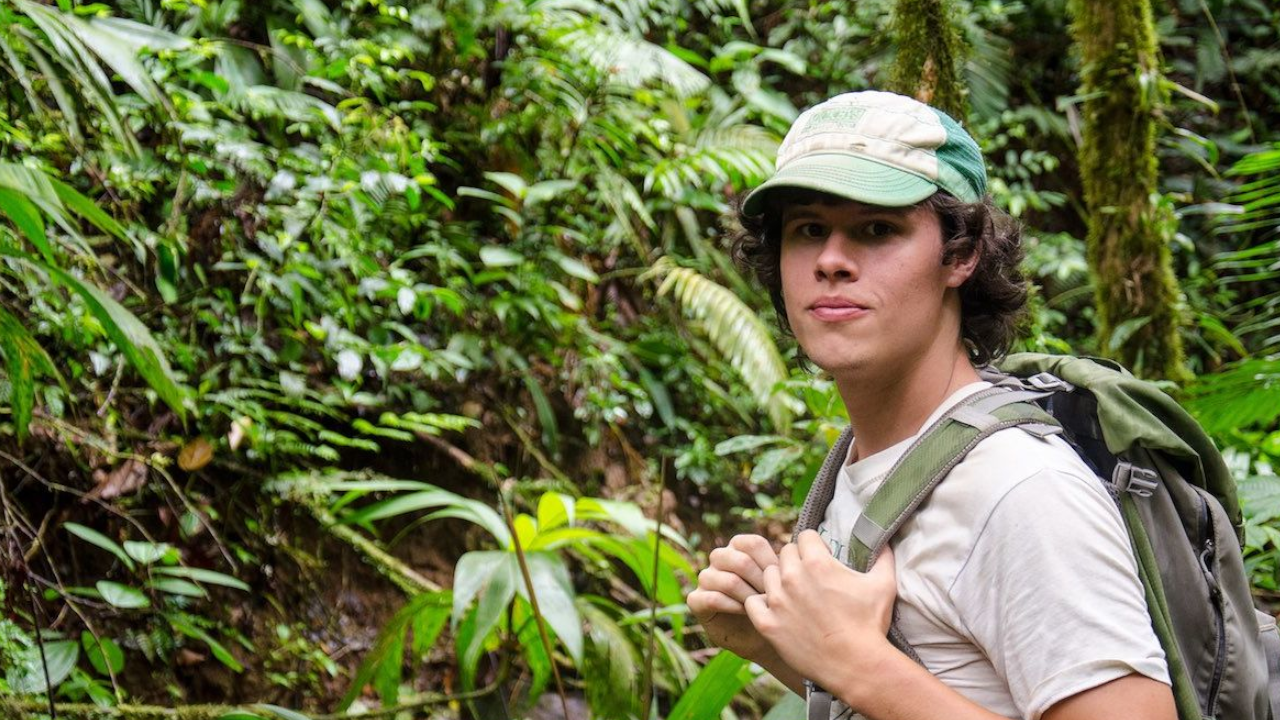 hking in the forest of costa rica