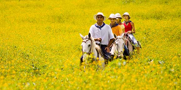 Horseback riding