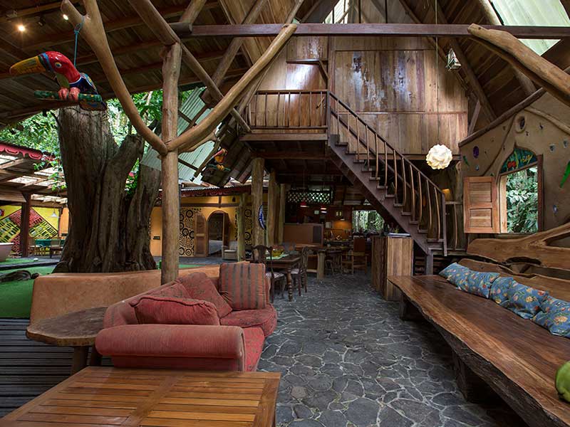 Tree House Lodge