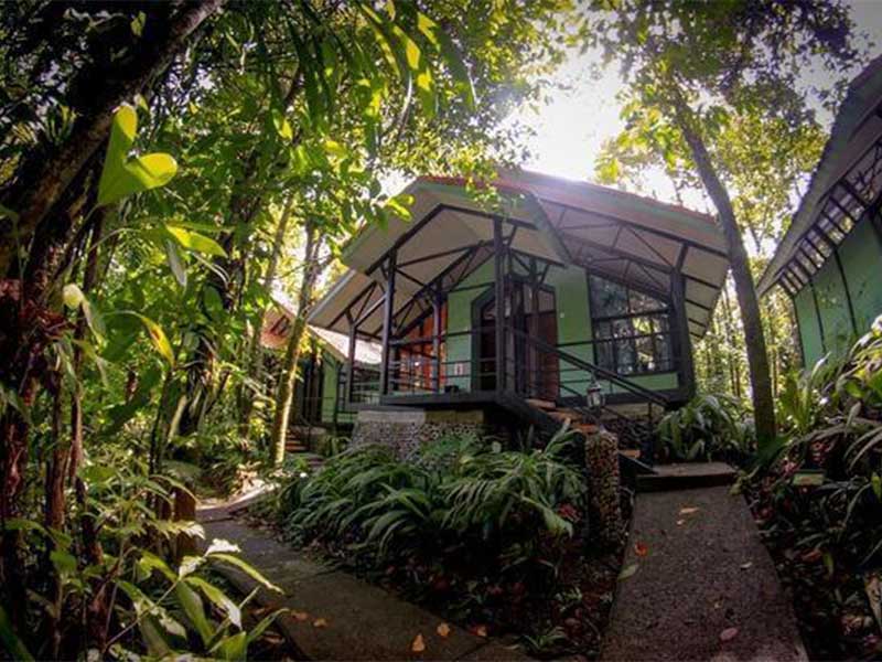 Rainforest Adventure Lodge