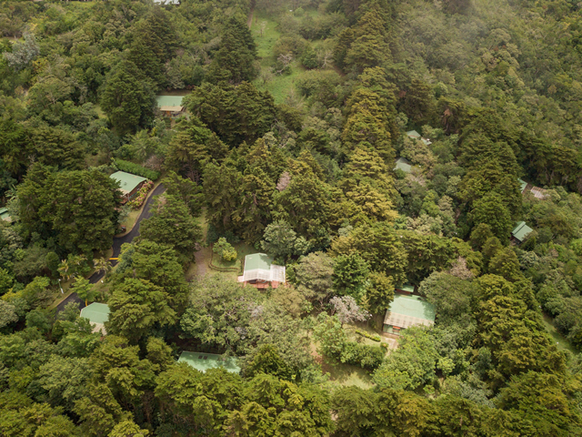 Los Pinos Cabañas y Jardines