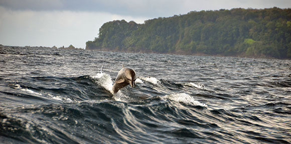 Protected Areas Central Pacific