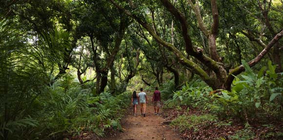 Parques Puntarenas