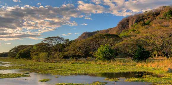 Guanacaste