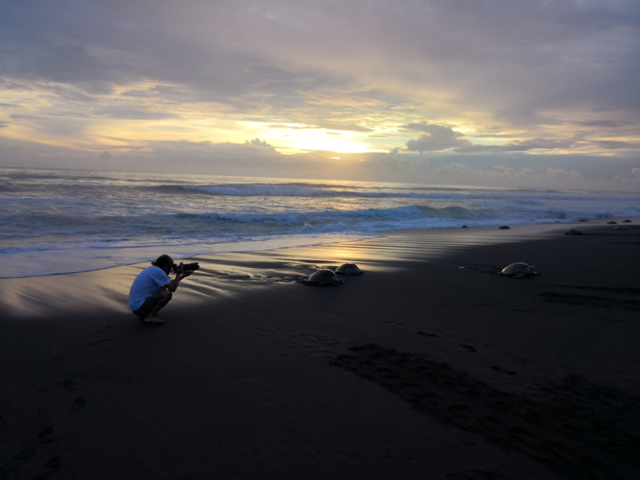 Nettai Costa Rica