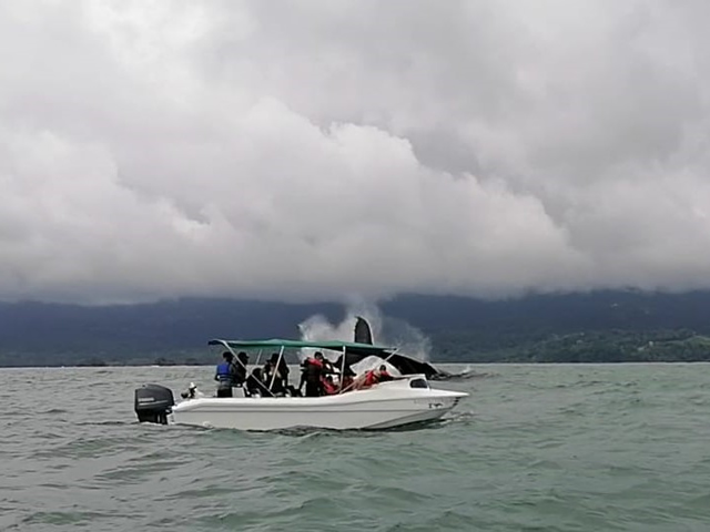 Ballena Tour de Bahía