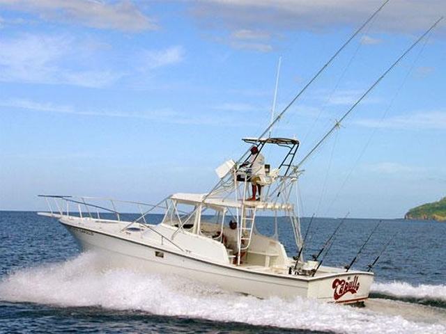 Capullo Costa Rica Sportfishing