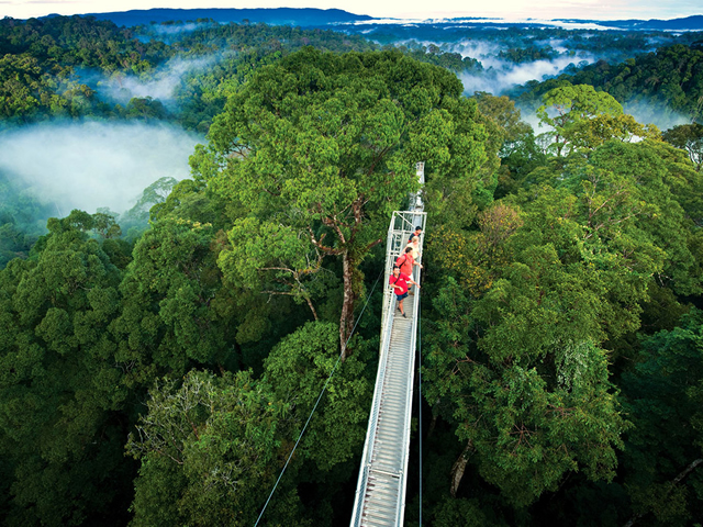 Swiss Tropical Tourism