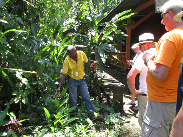 Oregon Tours Costa Rica