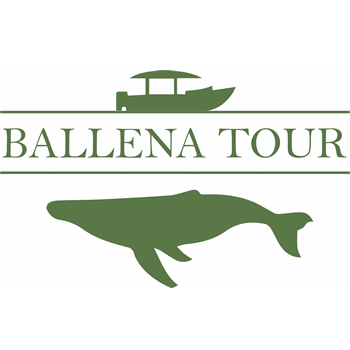 Ballena Tour de Bahía