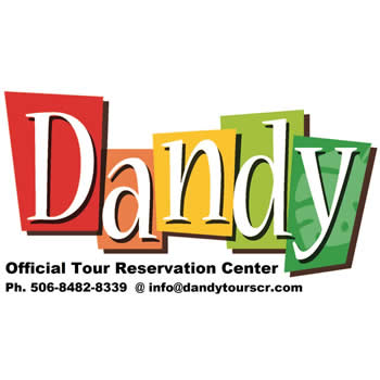 Dandy Tours