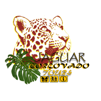 Jaguar Corcovado Tours