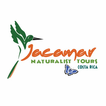 Jacamar Naturalist Tours