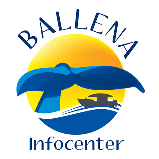 Ballena Infocenter Agencia de Viaje Receptiva