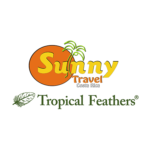 Sunny Travel - Tropical Feathers