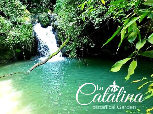 Jardín Botánico La Catalina